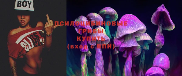 дживик Новодвинск