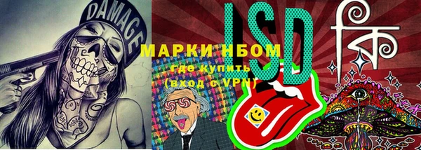 дживик Новодвинск