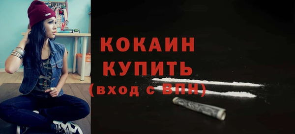 дживик Новодвинск